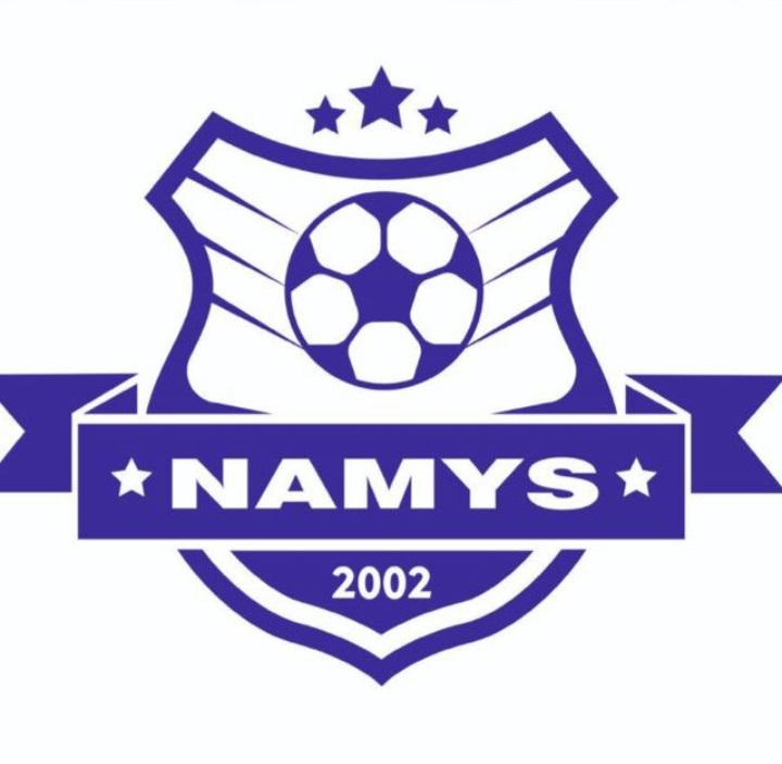 НАМЫС