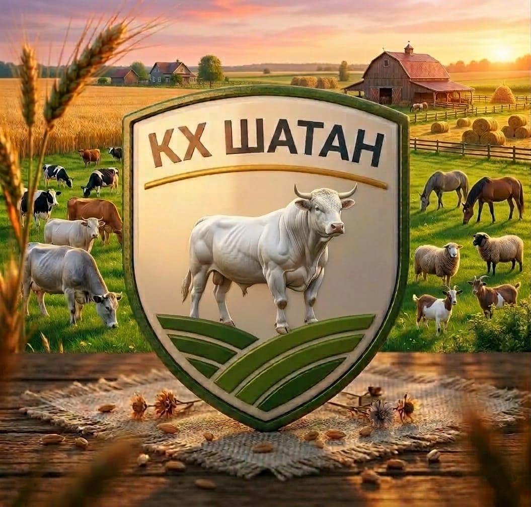 ШАТАН