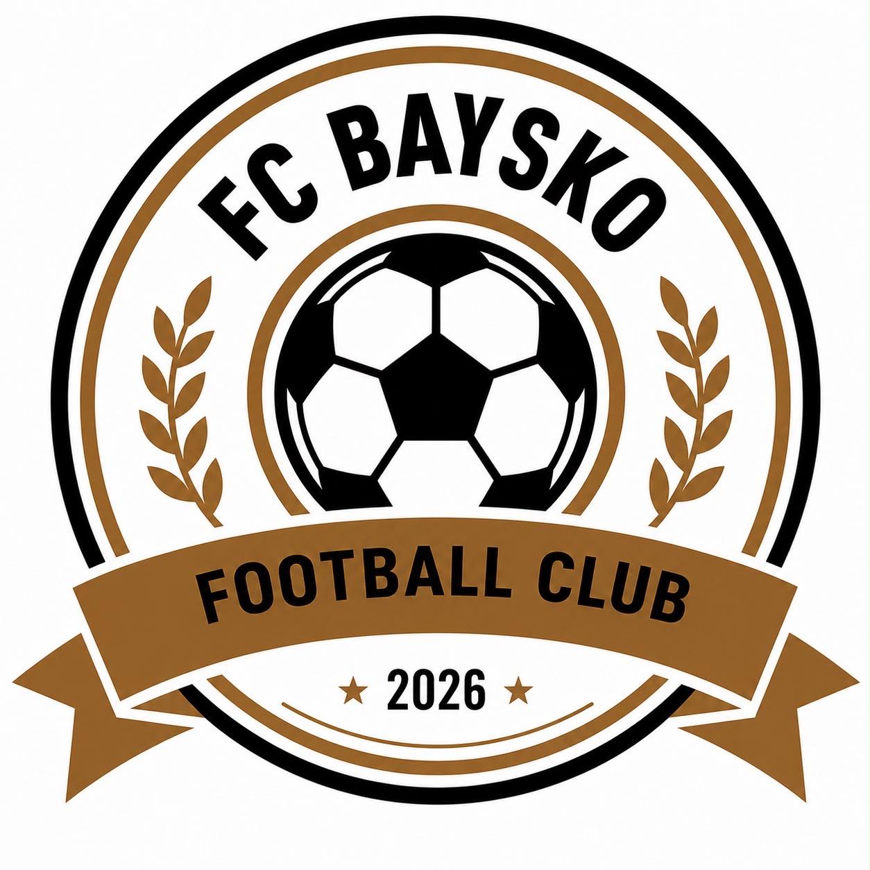 FC BAYSKO