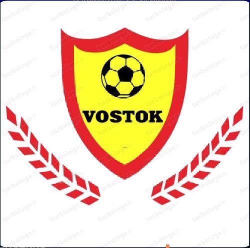 VOSTOK 2011