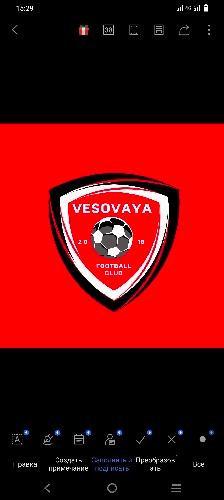 ВЕСОВАЯ