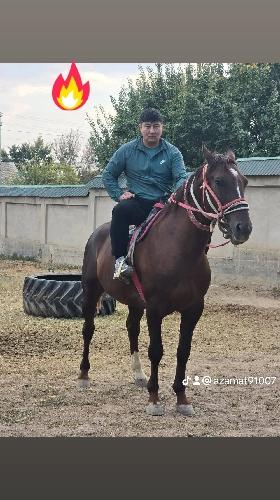 Азамат Рысымбетов