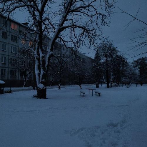 Адлет Бахтияр