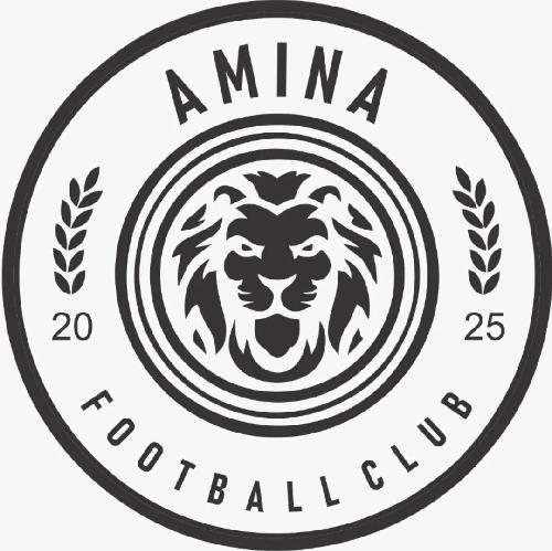 AMINA