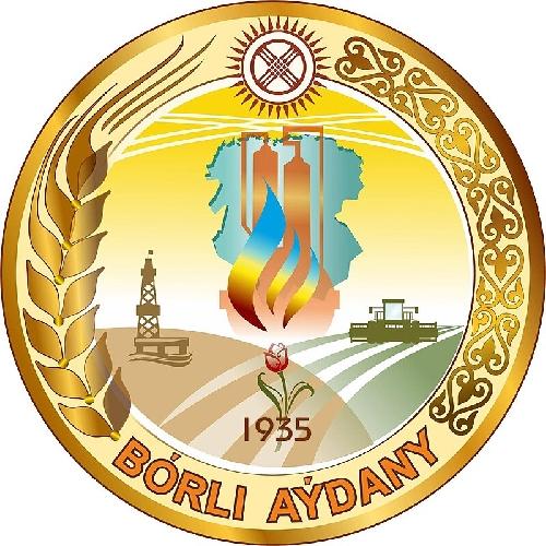 Бөрлі ауданы