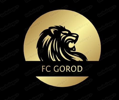 FC GOROD