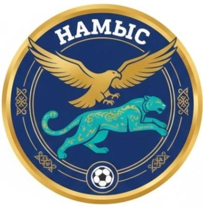 МФК "НАМЫС"