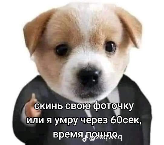 Айсултан  Балжан