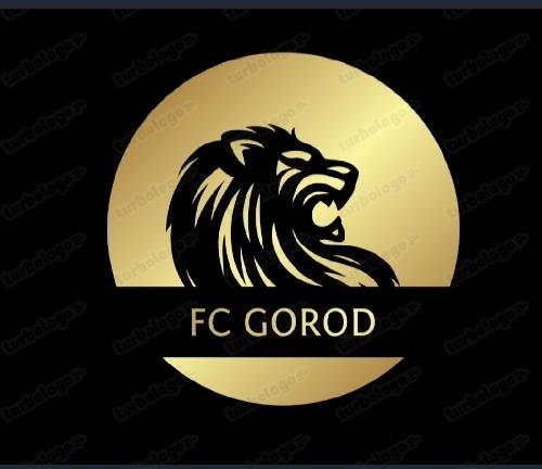 FC GOROD