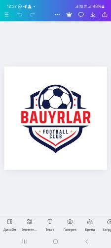 BAUYRLAR